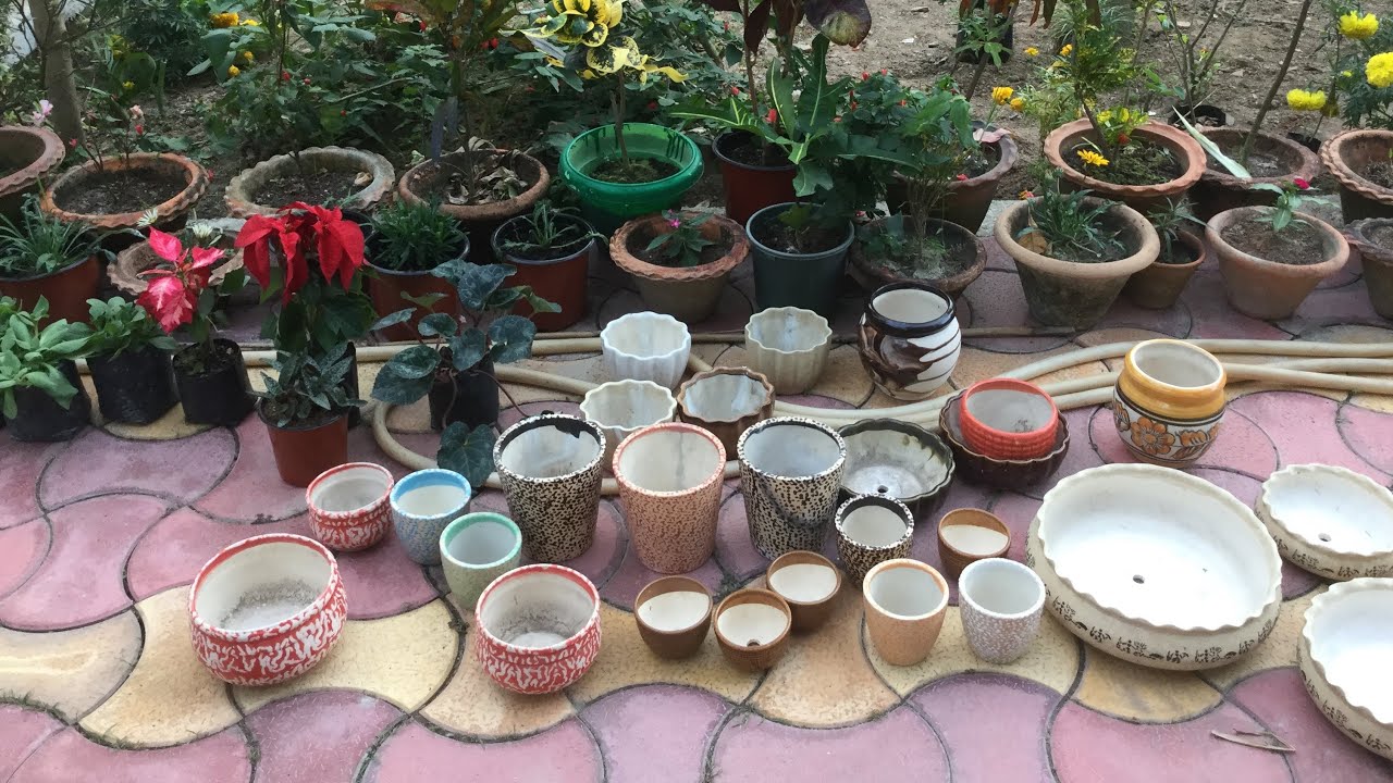 December Nursery visit & huge ceramic pots/planters shopping| Plants and ceramic planters purchase