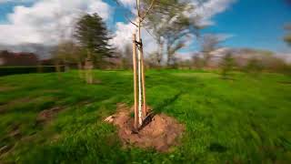 DJI AVATA manual flight 