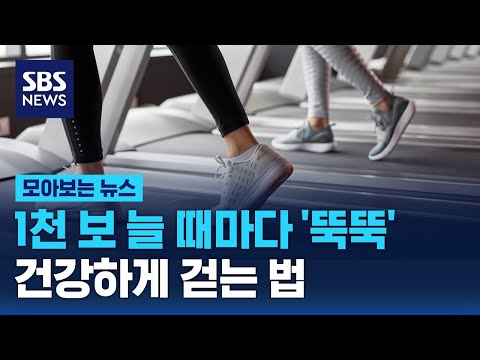 얼마나 어떻게 걸어야 좋은 거야?…새 연구 결과 나왔다 / SBS / 모아보는 뉴스
