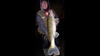 zander fishing on Daiwa Tournament D`Fin softlure screenshot 5