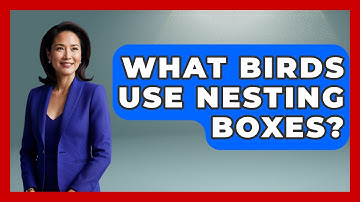 What Birds Use Nesting Boxes? - Bird Watching Diaries