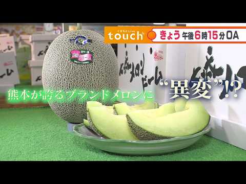 ［くまもとLive touch］6/8予告
