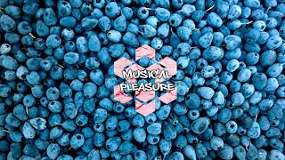 Mert Oksuz - Everything We Had (feat. Selin)