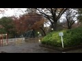 Snow @ Tokyo Nov. 24/2016