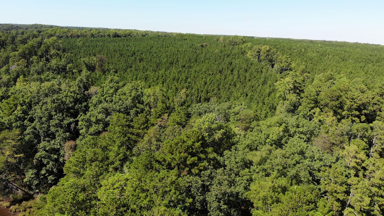 Boathouse Landing - Land for Sale - Lancaster County VA