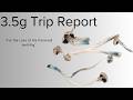Mushroom Trip Report - "For the Love of the Paranoid Hell-Pig"