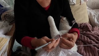 My cat loves sleeping on my lap while I knit