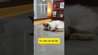 Trò chơi lật đật #cat #dethuong #pets #meocute #cat #funny