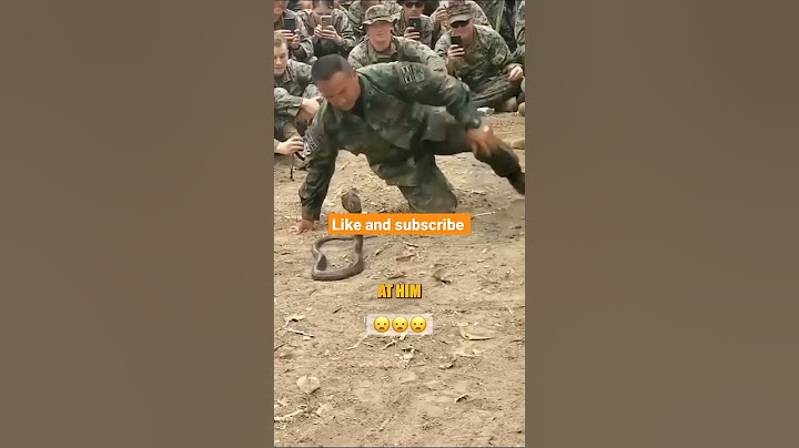 Wow see how this Solder Tamed A Snake.. 👉👉click here to watch the movie https://tinyurl.com/yrx2tf43