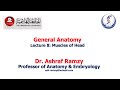 Lecture 8 Muscles Of Head General Anatomy Lecture 8 Muscles Of Head General Anatomy