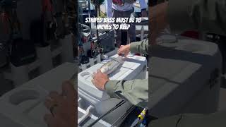 Busted by DFG-How to Correctly Measure your Fish