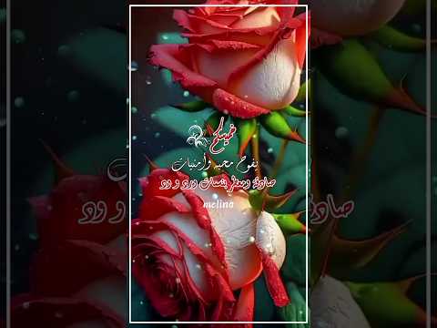 صباح الخير حالات واتس صباحية قصيرة 2024 ستوريات انستا صباحي صباحيات 