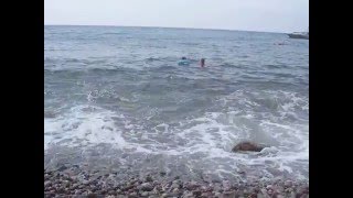 КРЫМ.ФОРОС ПОСЛЕ ШТОРМА.МНОГО ВОДОРОСЛЕЙ.CRIMEA.FOROS AFTER THE STORM.A LOT OF ALGAE.(КРЫМ.ФОРОС ПОСЛЕ ШТОРМА.МНОГО ВОДОРОСЛЕЙ.CRIMEA.FOROS AFTER THE STORM.A LOT OF ALGAE.La guerra de CRIMEA.FOROS DESPUÉS ..., 2015-12-10T09:15:42.000Z)