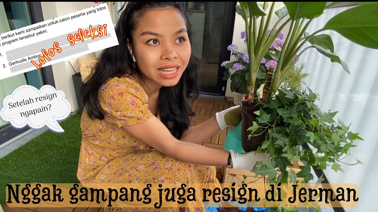 Konsekuensi Kalau Resign di Jerman: Dapat Tunjangan Nganggur nggak? (Aku Lolos Seleksi!)