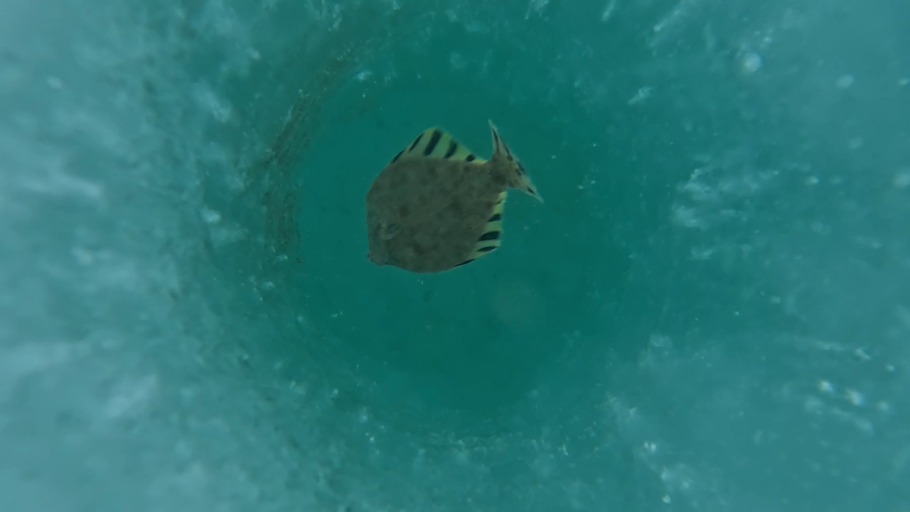 Приморский край. Хасанский район. Бухта Экспедиции.