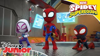 Marvel Spidey E A Sua Superequipa | Vigiar A Casa