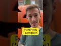 🎃 Pump up your pronunciation! #improveyouraccent #halloween #pumpkin #pronunciationteacher #accents