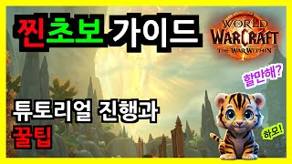 와우(WOW) 내부전쟁 찐초보 가이드 4편 - 튜토리얼 진행과 꿀팁 (뉴비, 복귀, 직업, 추천, 특성, 진영, 종족, 클래스)