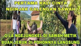 THE FIRST TIME LOVE WAS INVITED TO GALENGAN SAWAH!! QILA FALLED