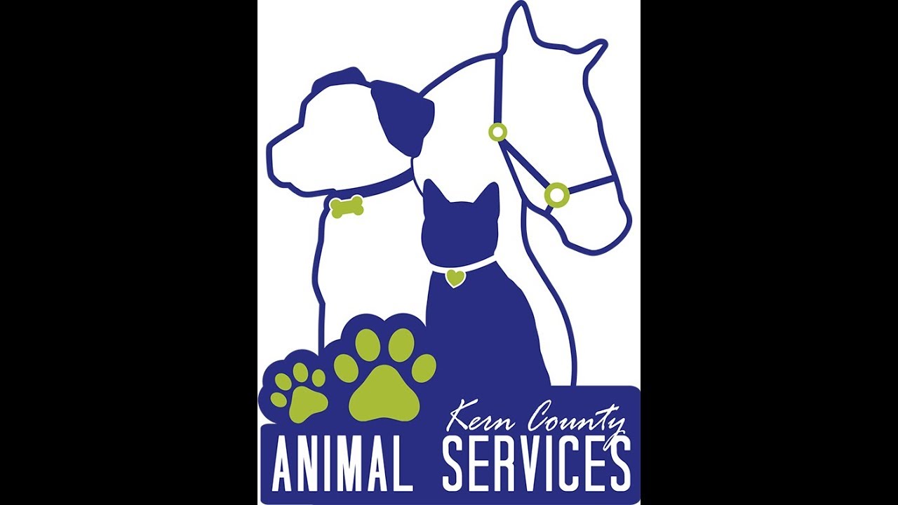 Pin On Animal Shelter