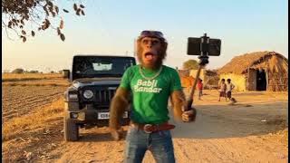 3676480811165103804 75399917862