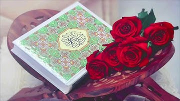 سورة الزخرف بصوت الشيخ (( رضا عبدالمحسن )) الوصف 👇