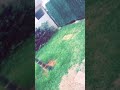 مرحبا بيكم كاملين
