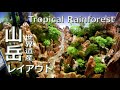 山岳レイアウト！熱帯雨林の水景 [ Mountains Tropical rainforest  ]