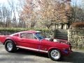 Real Barn Find 1965 Mustang Fastback A/FX Gasser Viral