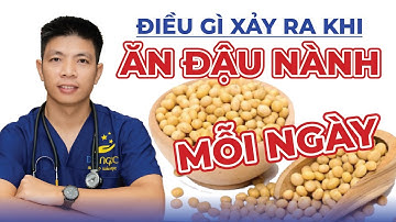 Điều Gì Xảy Ra Khi Ăn Đậu Nành Mỗi Ngày | Dr Ngọc