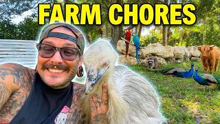 Come get some FARM CHORES done with us!