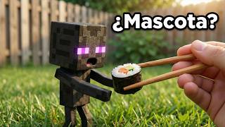 Conseguí un Enderman de Mascota En la Vida Real
