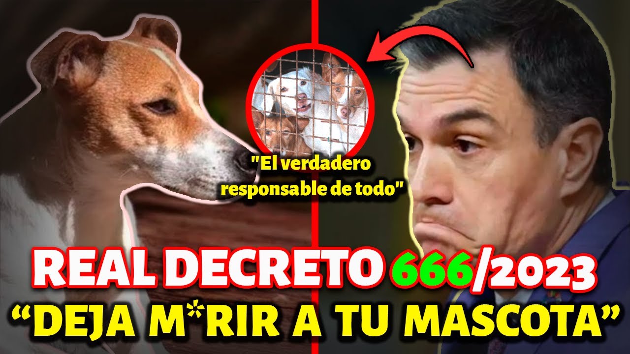 🛑 ¡ATENCIÓN PROPIETARIOS DE MASCOTAS!  REAL DECRETO 666/2023 pone en PELIGRO la salud de ANIMALES 🐾💊