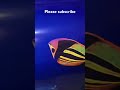 3D Hd image production #fish #art #walldecor #epoxyart
