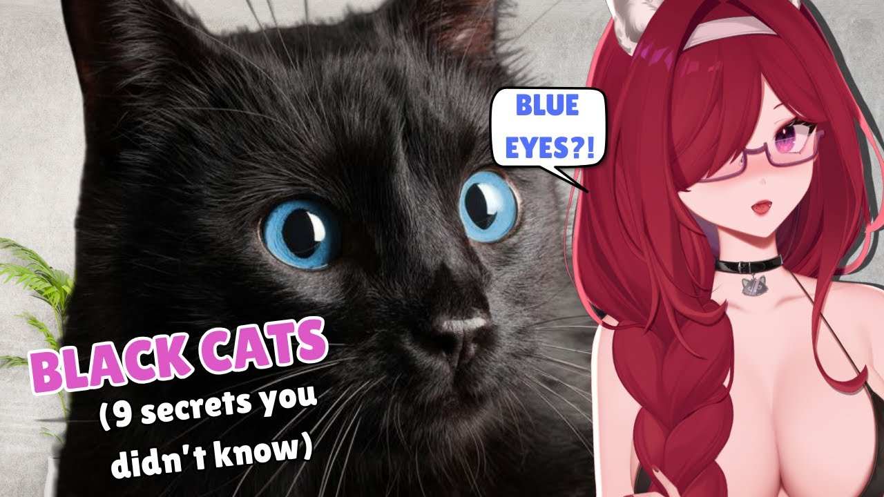 9 SHOCKING Black Cat Secrets! | Vtuber reacts to cat facts