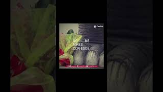 The dinosaurs statue Story#Incident#dinosaur#impacto