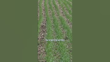 Fungicides HAVE to be sprayed BEFORE a problem.