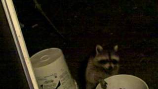 Jan 02 2007   VID00017