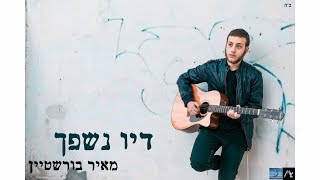 מאיר בורשטיין - דיו נשפך