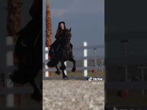 دبكه يمه ويكحل العين شل احوالي