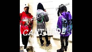 Cant Hide (feat. Wdgluhjr)