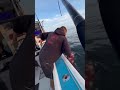 海釣りロマン!ルアーでマグロ挑戦したら引きがハンパなかったww