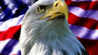 What Does it Take to Make an Eagle.mpg