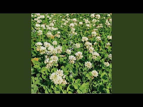サチアレ