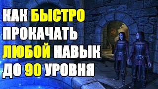 КАК БЫСТРО ПРОКАЧАТЬ ЛЮБОЙ НАВЫК В СКАЙРИМЕ ДО 90 УРОВНЯ