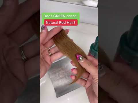 Video: Shampoo Doggie verde fai da te