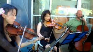 Harmonia Music live music video