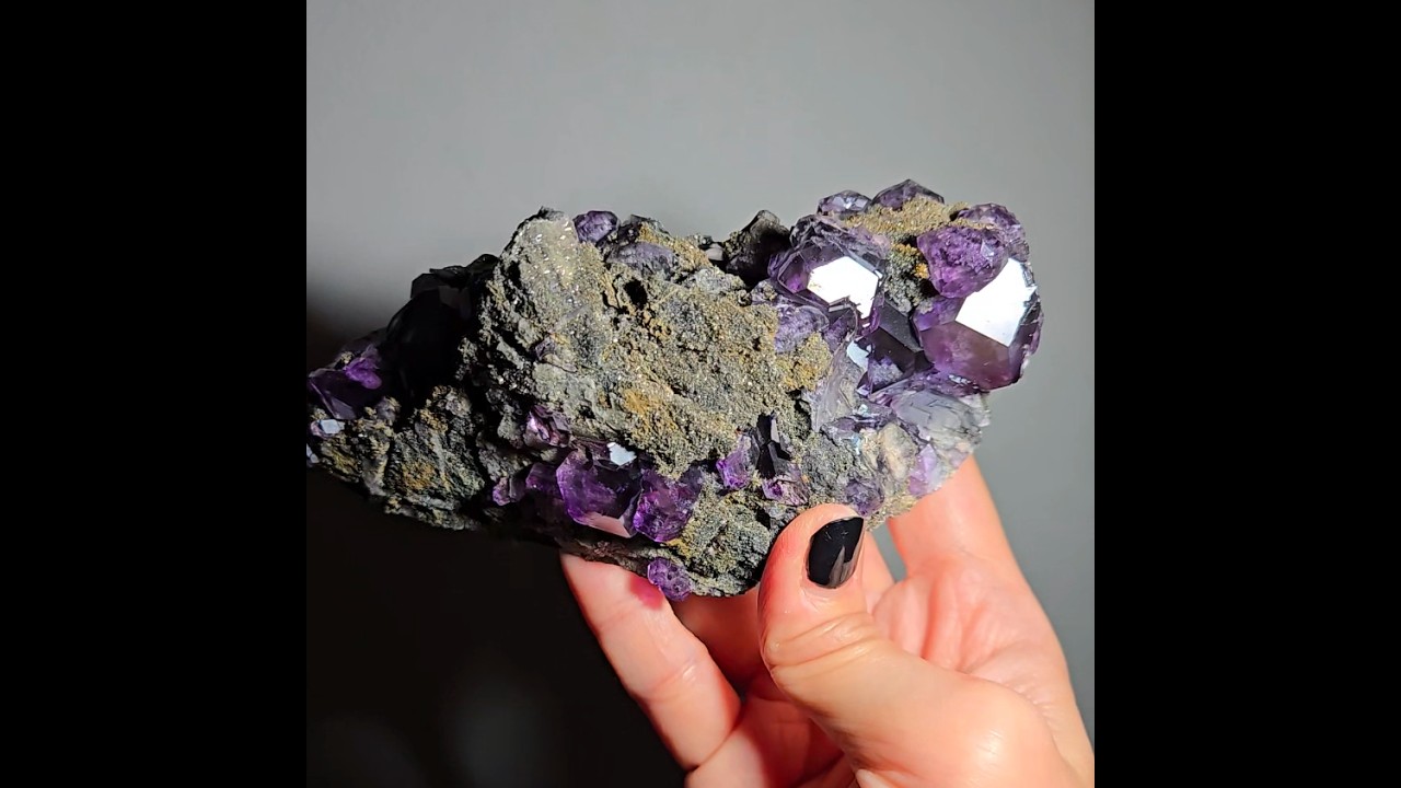 Tanzanite fluorite cluster with big dodecahedral gems - FL359
