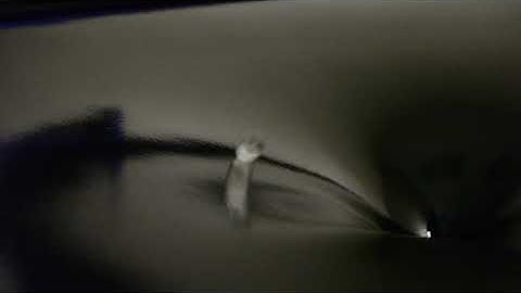 Hydrobolic Funnel Exhibit