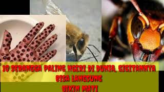 10 Serangga Paling Ngeri Di Dunia,Gigitannya Bisa Langsung Bikin Mati.